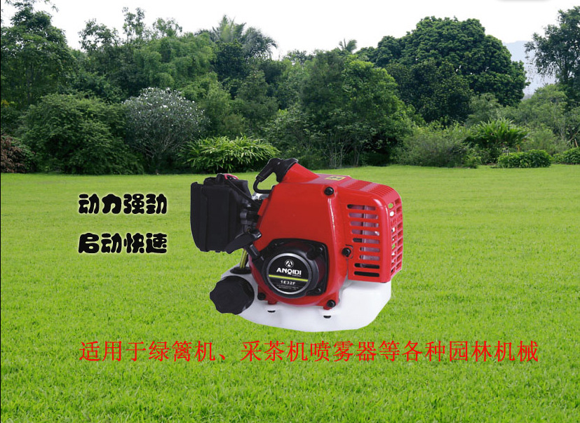 安奇迪1E32F二冲汽油发动机 农林园艺动力的全能之选